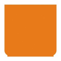 Emblem - neutral orange