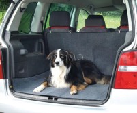 Kofferraum-Schutz für Hunde COLLINETTE, 147x120cm